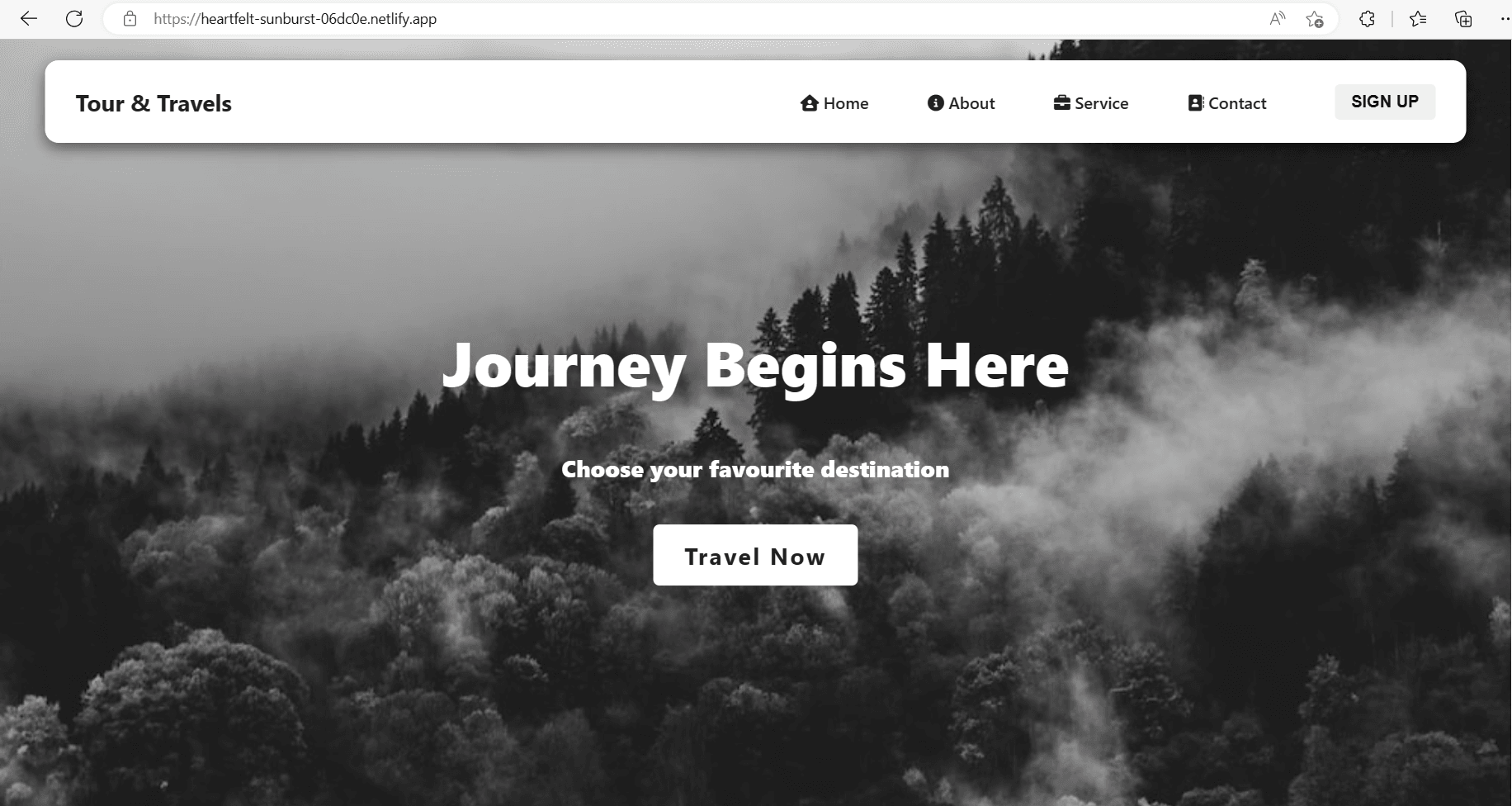 Tour & Travel Website